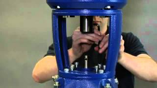 Goulds Water Technology eSV Seal Replacement Video [upl. by Amble903]