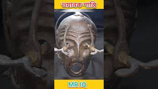 ভয়ানক শাস্তি। Mr IQ । shorts assamese assam assamesevideo assamesenews [upl. by Atiruam]