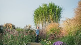 Jak uprawiać trawy ozdobne  kompletny poradnik 🌾 [upl. by Gilman357]