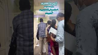 മുട്ടൻ പണി കിട്ടി ഗുയ്സ്  Dog bite and treatment  dogbite dog kunjipennu shorts [upl. by Aikan]