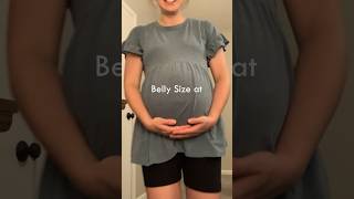 38 weeks pregnant belly bellyprogression [upl. by Ayhdiv]