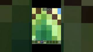 Minecraft sound with stay song minecraft shorts shortsfeed [upl. by Godred]