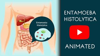 Entamoeba Histolytica in Easy Animated  Microbiology [upl. by Wake644]