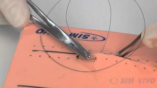 SIM SUTURE  5 Running Simple Sutures [upl. by Alyks]