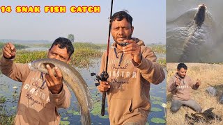 Fishing Fishing videos snak ehead FIshes Snakehead Fishing Amazing video [upl. by Ydnat177]