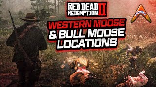 RDR2  Western Moose amp Bull Moose Locations [upl. by Marthena]