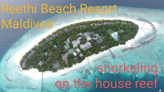 Reethi Beach Resort Maldivessnorkeling on the house reef [upl. by Luella311]