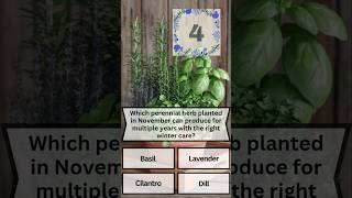 Plant This Herb once harvest forever shrots gardeningshorts beginnergardener herbs [upl. by Riley130]