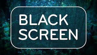 Black Screen Rain in Forest White Noise 🌧️🌲🌧️ Rainstorm Sounds for Sleep [upl. by Clementi]