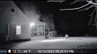 THIS IS THE MOST ALARMING FOOTAGE EVER CAPTURED ON A RING CAM [upl. by Edak]