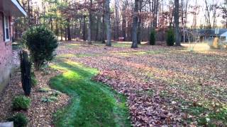 How To Rake Leaves  Work Smarter Not Harder [upl. by Suruat]