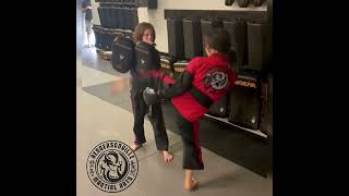 Kids Karate Summer 2023 Belt Testing Highlights hendersonvillma [upl. by Ramahs]