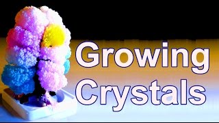 Growing beautiful Crystals in 10 Hours [upl. by Ioj501]