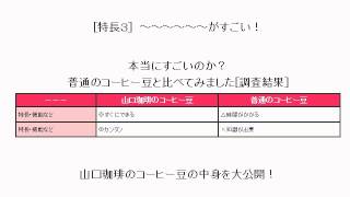 岡野弘文がLPメカ（ランディングページ案自動作成ツール）売れるホームページのひな形を解説 [upl. by Nylirehc700]