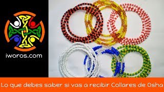 Lo que debes saber si vas a recibir Collares de OSHA [upl. by Alyos883]