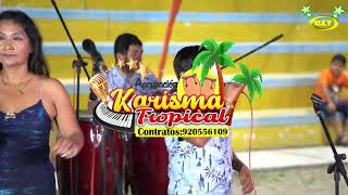 MIX SERPIENTE  KARISMA TROPICAL [upl. by Hurd]