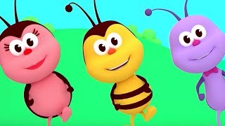 The Hokey Pokey Dance  Songs For Kids amp Nursery Rhymes  Boogie Bugs [upl. by Ericka110]