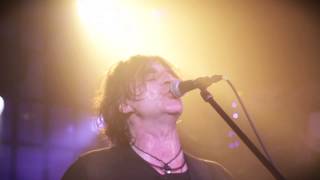 The Chameleons  Monkeyland  official  Crazy Clip TV 247  live  6 Cams  2013 [upl. by Aibonez]