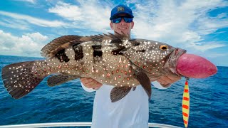 RARE Spotted Grouper Catch Clean Cook [upl. by Amiarom]