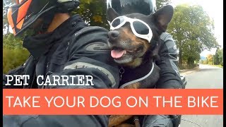 Affordable Motorcycle Pet Carrier For Dogs [upl. by Annua346]