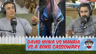 David Nyika Vs Manaia Vs a 80kg Cassowary [upl. by Naggem]