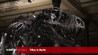 tvberlin berlin nachrichten vom 16 Dezember 2015 [upl. by Nhepets863]