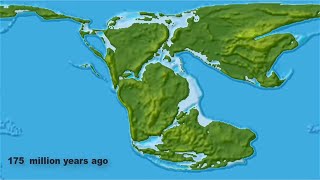 Continental Drift from Pangea to Today [upl. by Leontyne238]