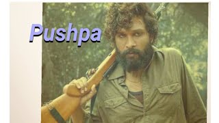 Pushpa  South Indian movies  Hindi dubbed alluarjun rashmikamandanna [upl. by Shulock39]