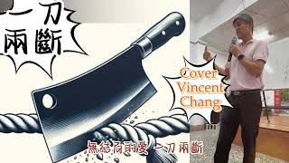 一刀兩斷 談詩玲  Cover  Vincent Chang [upl. by Celestyn837]