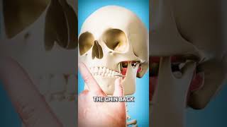 how to fix an dislocated jaw 😨 viralvideo shorts [upl. by Canfield]