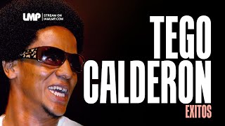 Tego Calderon Reggaeton Exitos  DJ Fibo [upl. by Ardnahs37]