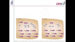 CPIC guideline for Ondansetron Tropisetron and CYP2D6 [upl. by Hsetirp]