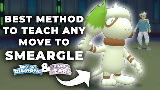 The BEST METHOD To Teach SMEARGLE Any Move in Pokemon Brilliant Diamond and Shining Pearl [upl. by Enneiluj]