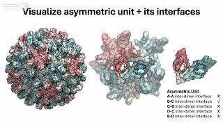 7 Tips and Tricks for MD Simulation of VirusesJHadden [upl. by Llenol]