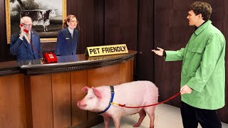 I Tested Pet Friendly Hotels With Farm Animals [upl. by Edmea]