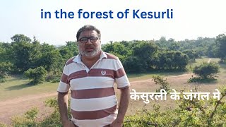 in the forest of Kesurli  केसुरली के जंगल मे ziaahmedvlogs [upl. by Feola]