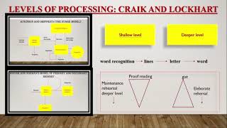 UNIT 4 MODELS OF INFORMATIONPROCESSING Part 2 [upl. by Orimar162]