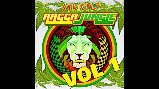 RAGGA JUNGLE IS MASSIVE VOL 1 MIXED BY DJ STP [upl. by Ellehsat]