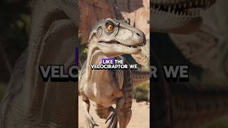 The Velociraptor shorts trending motivation [upl. by Ellehsem]