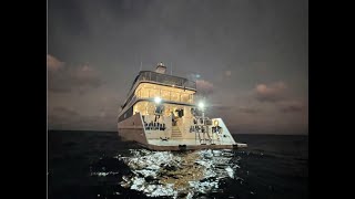 Scuba Diving the Tubbataha Reef Palawan Philippines aboard the Aggressor Liveaboard [upl. by Rett]