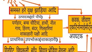 Class5 structure of Ecosystem [upl. by Imik]