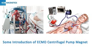 Some Introduction of ECMO Centrifugal Pump Magnet [upl. by Isla]