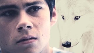 Stiles Stilinski  Unsteady [upl. by Wedurn]