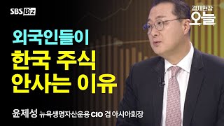 오후초대석 트럼프 출범 앞둔 월가의 대비…내년 미국 주식 투자 전망은 [upl. by Catharine353]