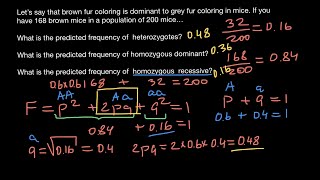 How to solve population genetics problems [upl. by Nahtnoj]