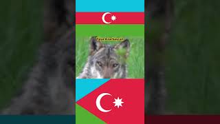 Azerbacanbaki viralvideos [upl. by Nnalatsyrc]