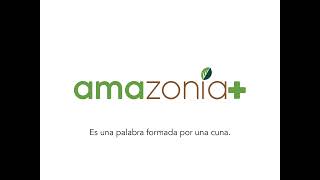 Amazonia  un programa para proteger la biodiversidad [upl. by Yht]