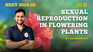 quotSexual Reproduction in Flowering Plants Process Stages and Importance Explainedquot  NEET Lec 03 [upl. by Halona]