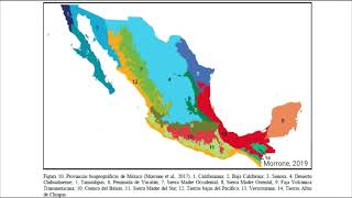 Regiones biogeográficas de México Región Neotropical [upl. by Larentia]