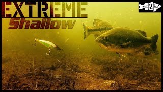 When and How to Catch Bass on Jerkbaits in Shallow Water [upl. by Ainnat535]